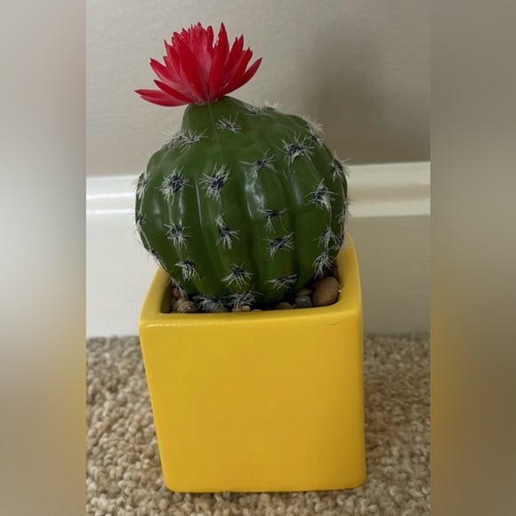Faux Flowering Flower Cactus Succulent In A Yellow Square Pot Home Decor EUC! - Picture 4 of 5